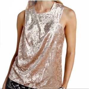 Anthropologie Porridge Beige Velvet Sleeveless Top